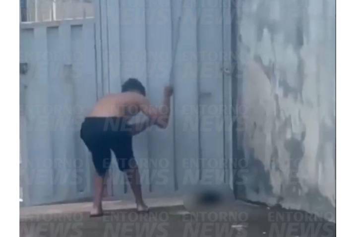 Imagens fortes: jovem mata gato a pauladas em Valparaíso de Goiás