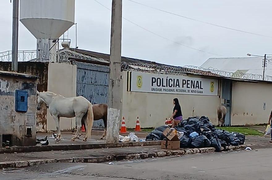 Imagem mostra a área externa do presídio de Novo Gama, localizado na região central do município, com sacos de lixo acumulados em frente à unidade prisional.