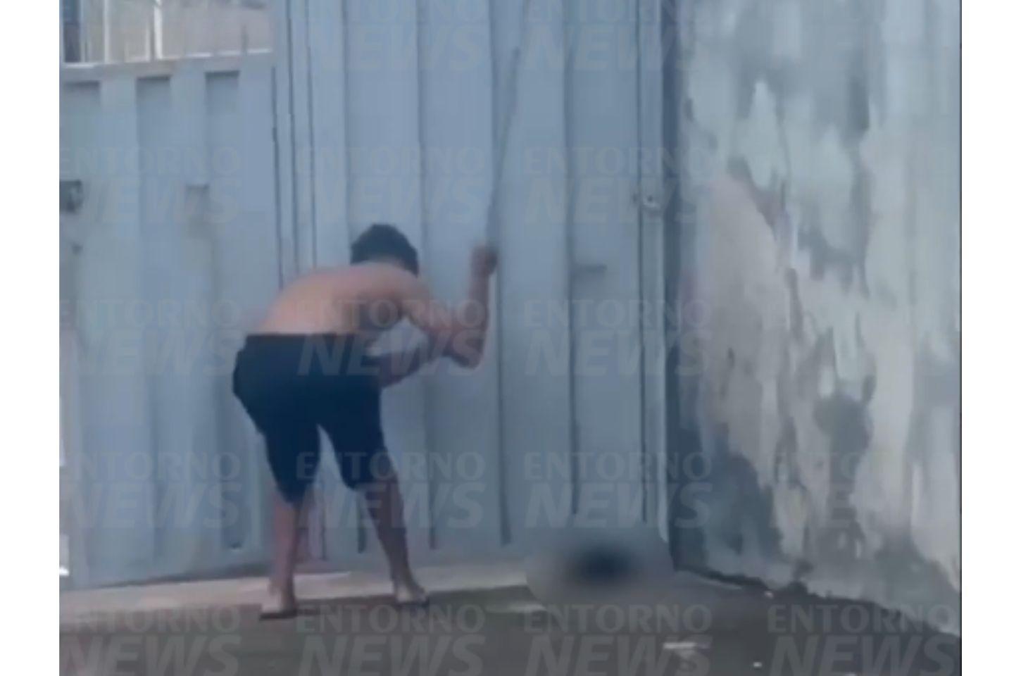 Imagens fortes: jovem mata gato a pauladas em Valparaíso de Goiás